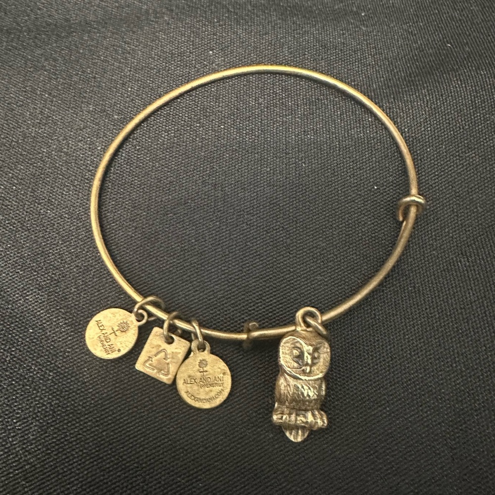 Alex & Ani Gold Owl Bracelet